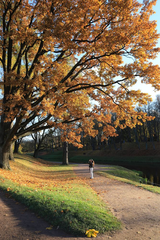 Photograph by Serge Halapin