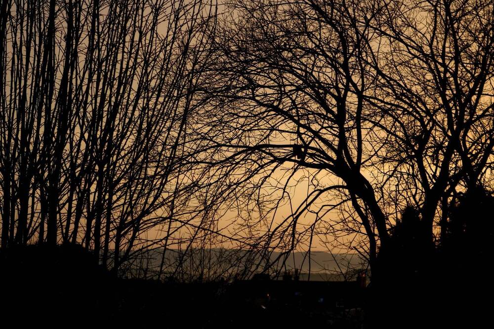 Photograph by Viviana García