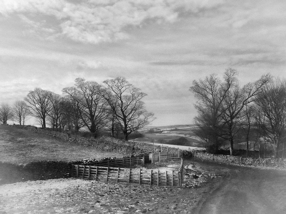 Photograph by Viviana García