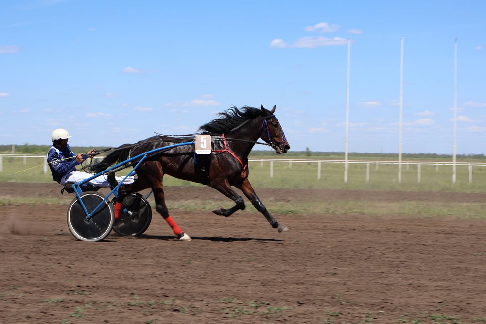 Photo #13083826