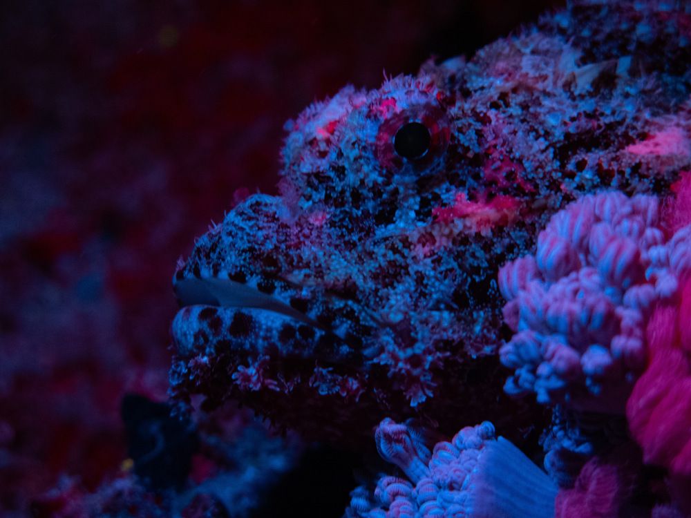 Photograph by Christian Pälchen