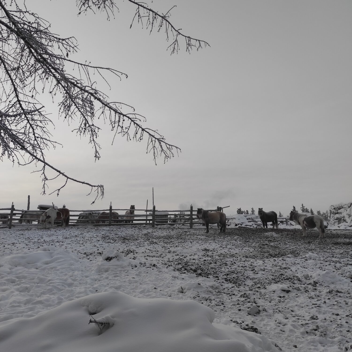 Photo #13083844