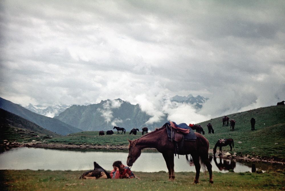 Photograph by Валентина