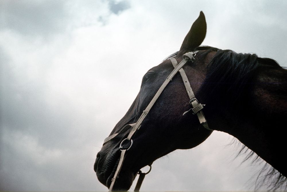 Photograph by Валентина