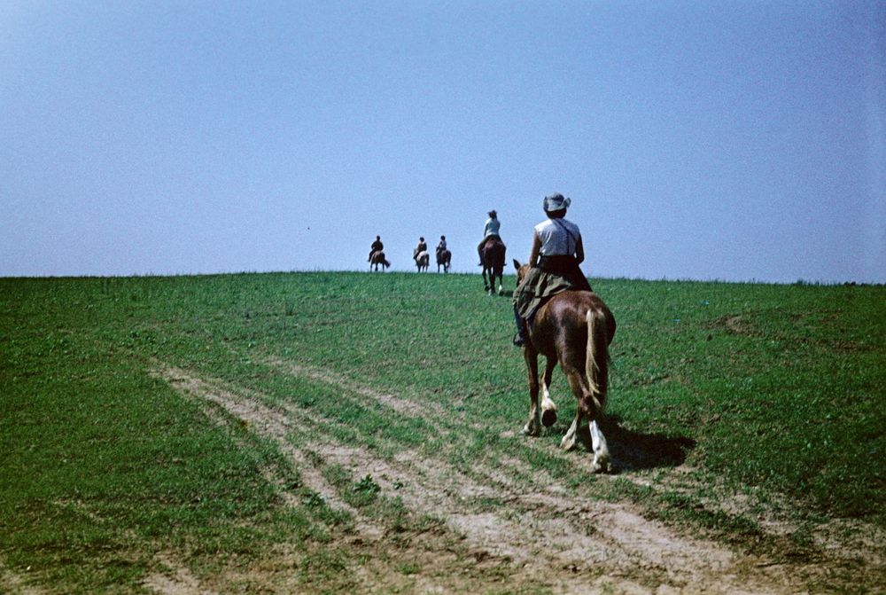 Photograph by Валентина