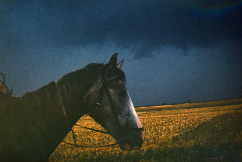 Photograph by Валентина