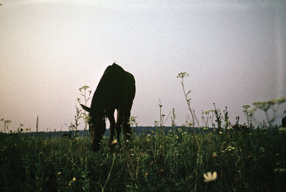 Photograph by Валентина