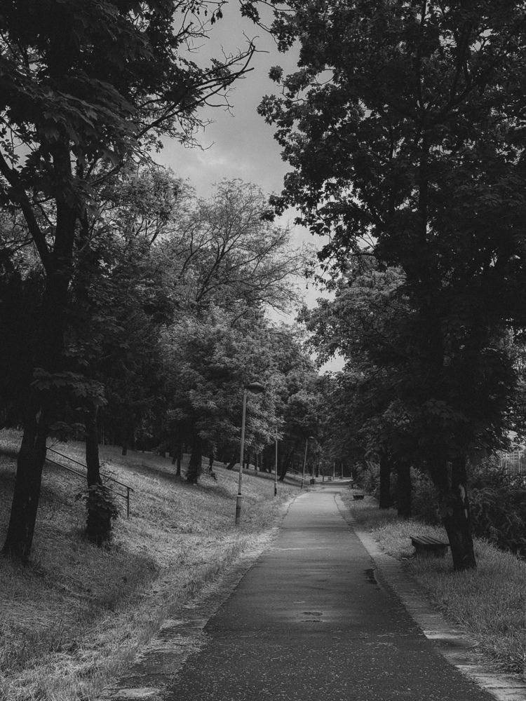 Photograph by Сергей