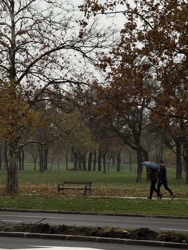 Photograph by Сергей