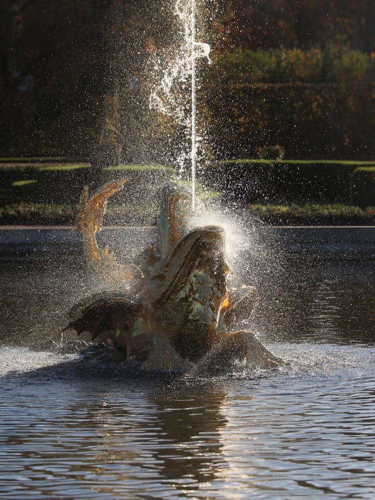 Photograph by Марианна Браун