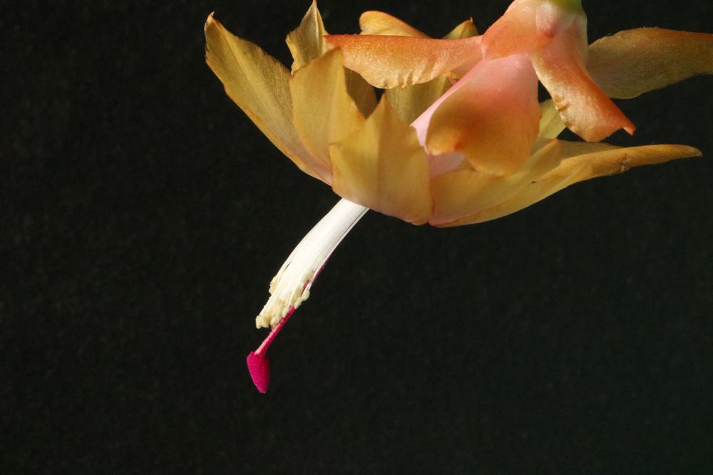 Photograph by Cengiz Yalcin