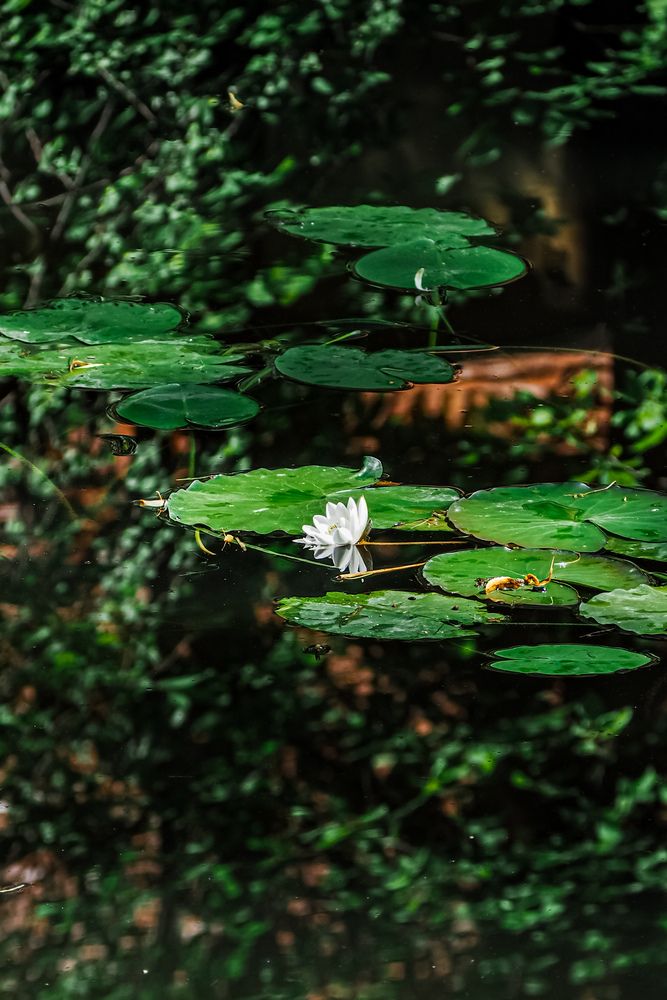 Photograph by Виталий Шмачко