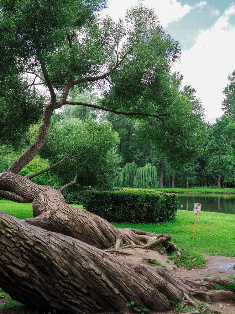 Photograph by Виталий Шмачко