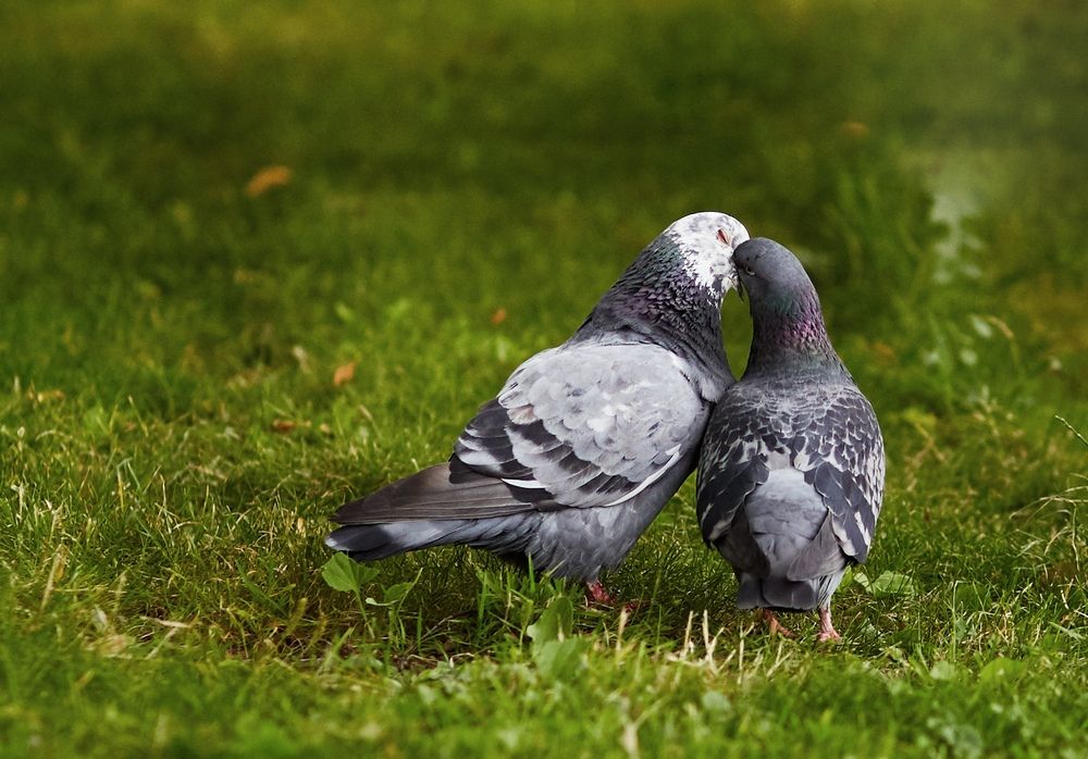 Photograph by Юлия Персинен