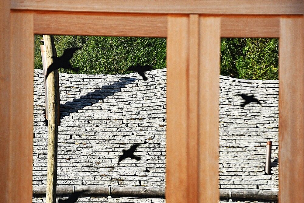 Photograph by Marzio Fattorini