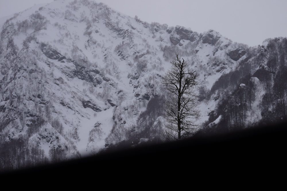 Фотография автора Андрей Груцинов