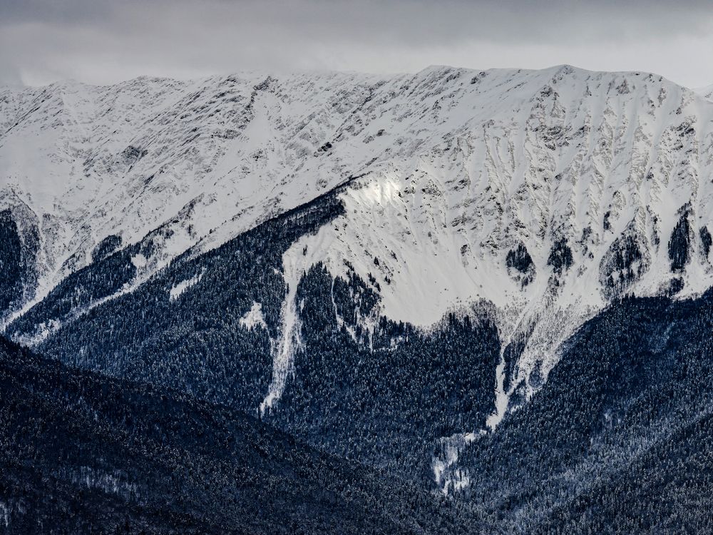 Фотография автора Андрей Груцинов