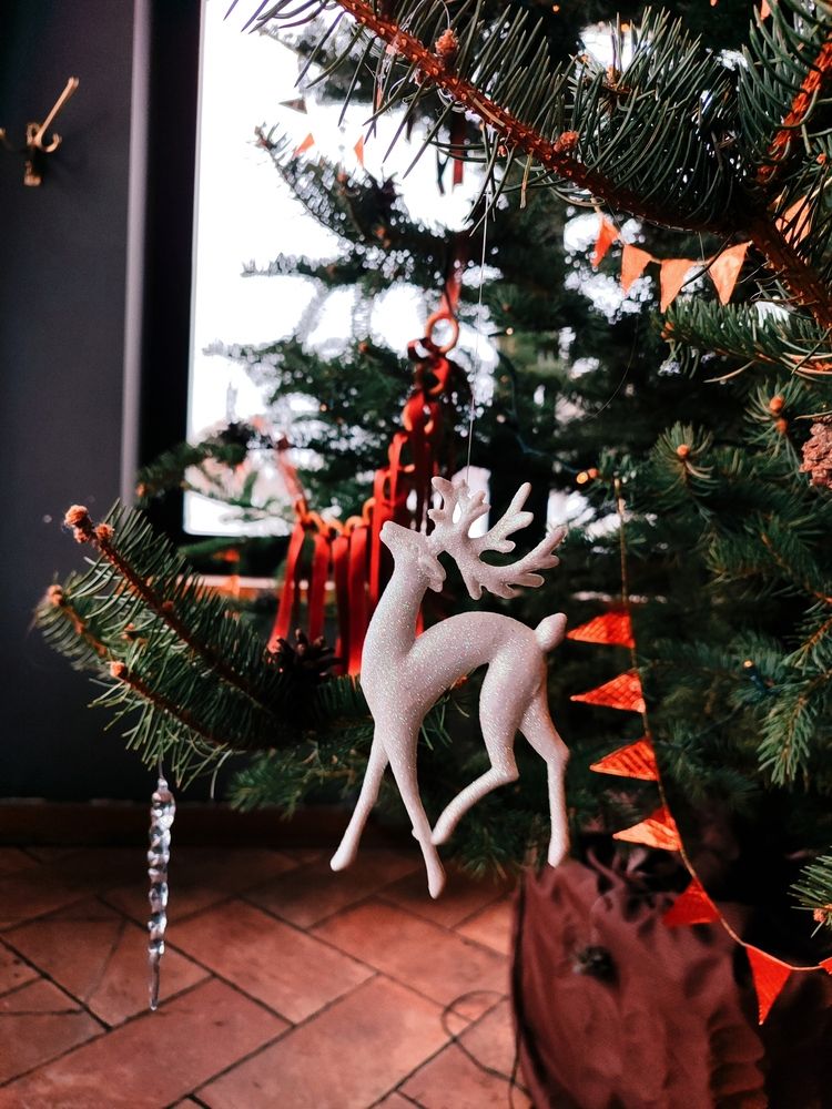 Photograph by Ирина Половцева