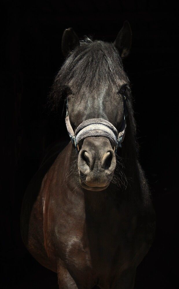 Photograph by Полина Зайцева