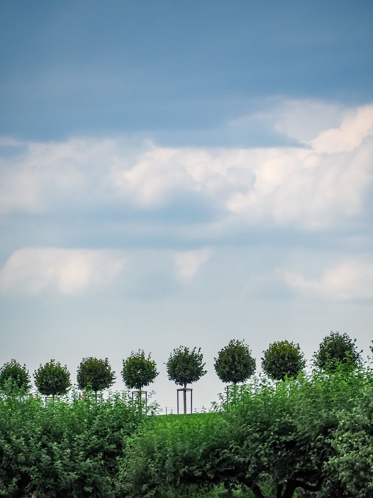 Photograph by Виталий Шмачко