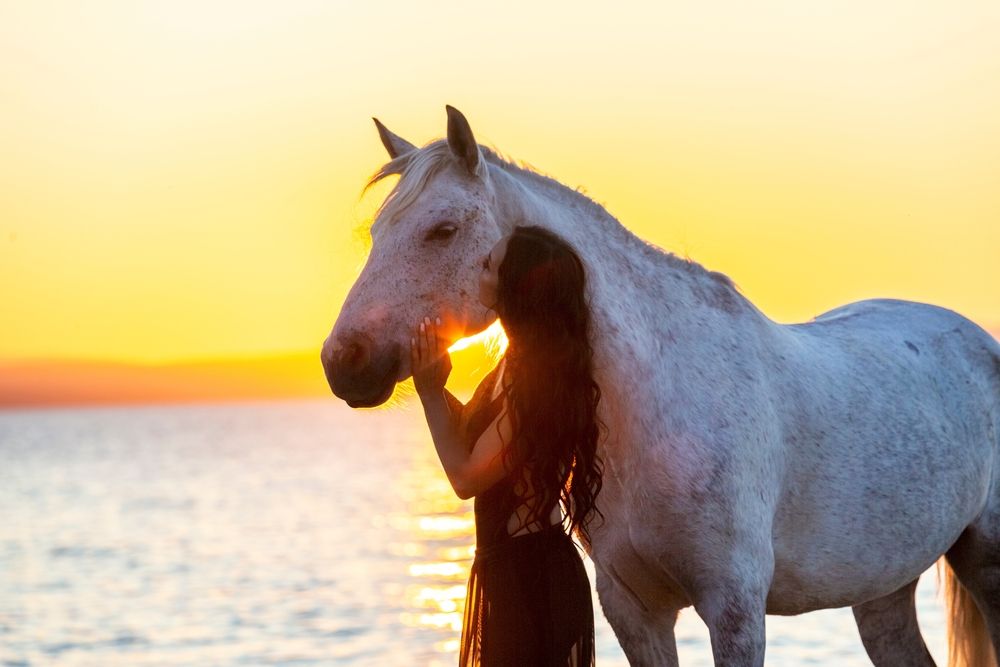 Фотография автора Андрей Михайлов