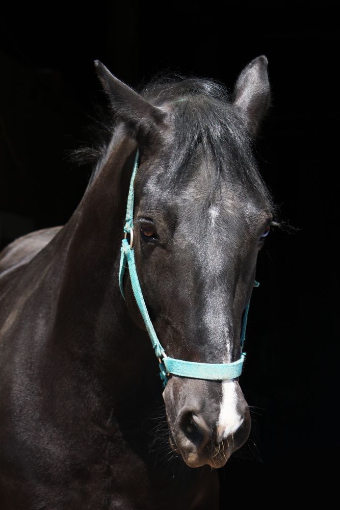 Photograph by Полина Зайцева