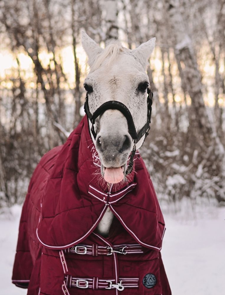 Photograph by Екатерина Шлехт