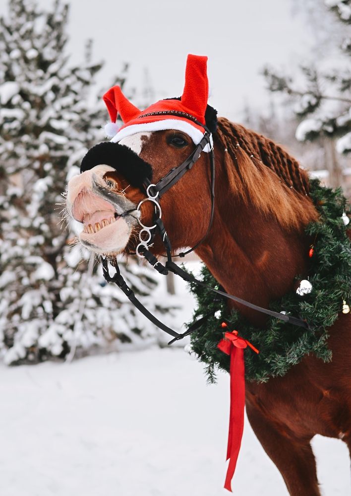 Photograph by Екатерина Шлехт