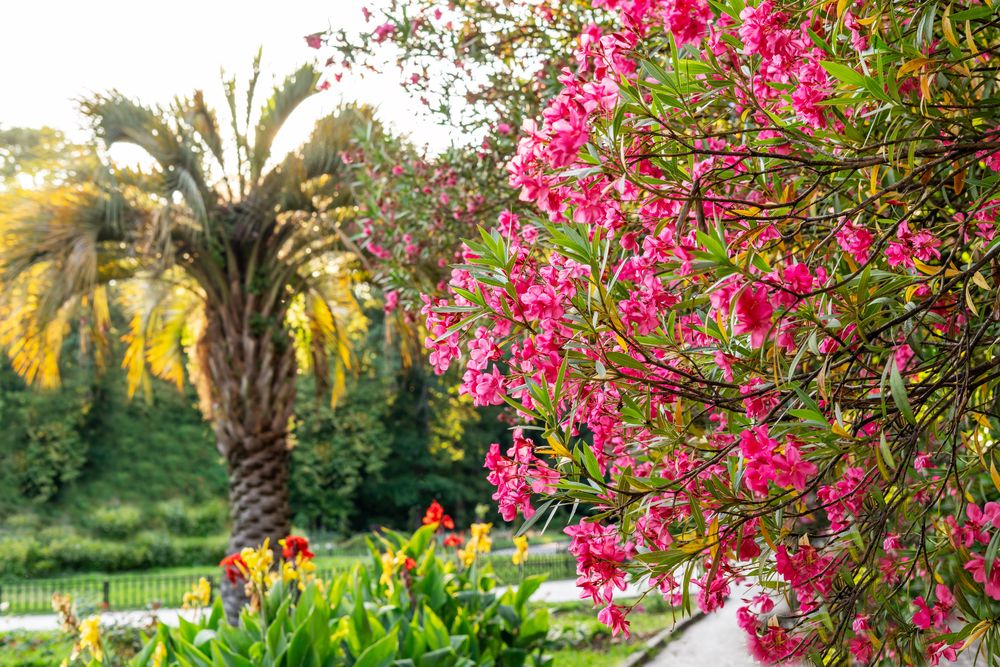 Photograph by Елена Гоосен