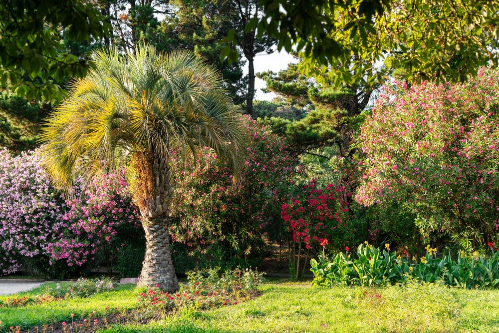 Photograph by Елена Гоосен