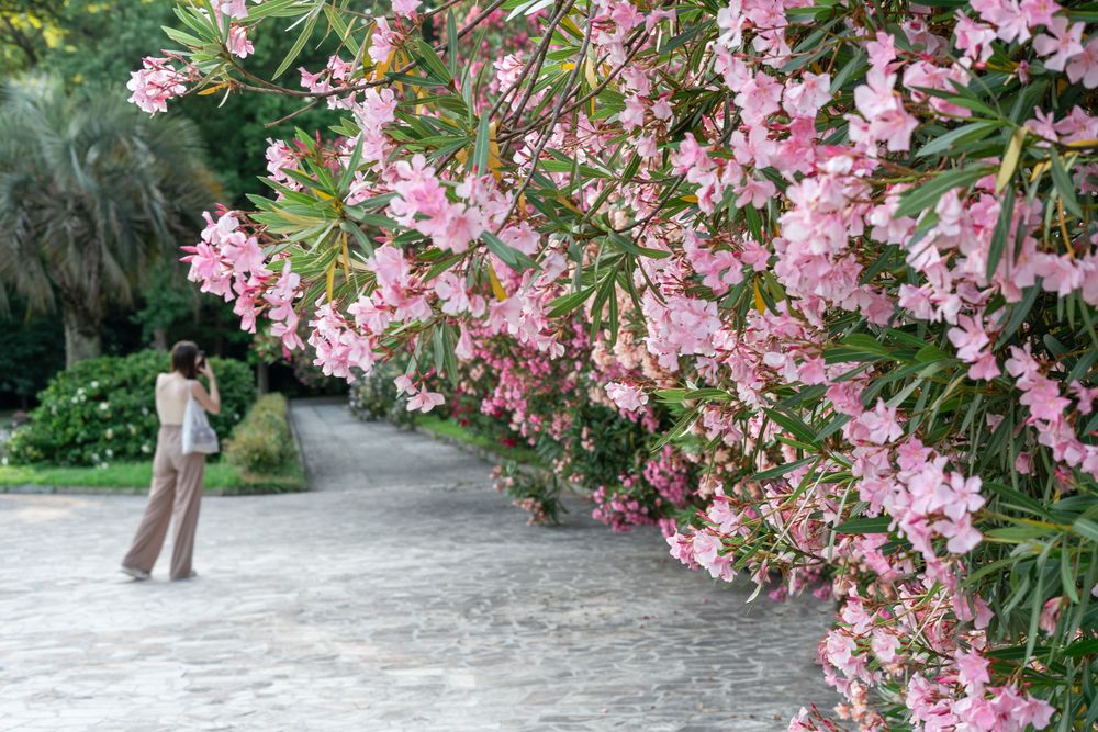 Photograph by Елена Гоосен