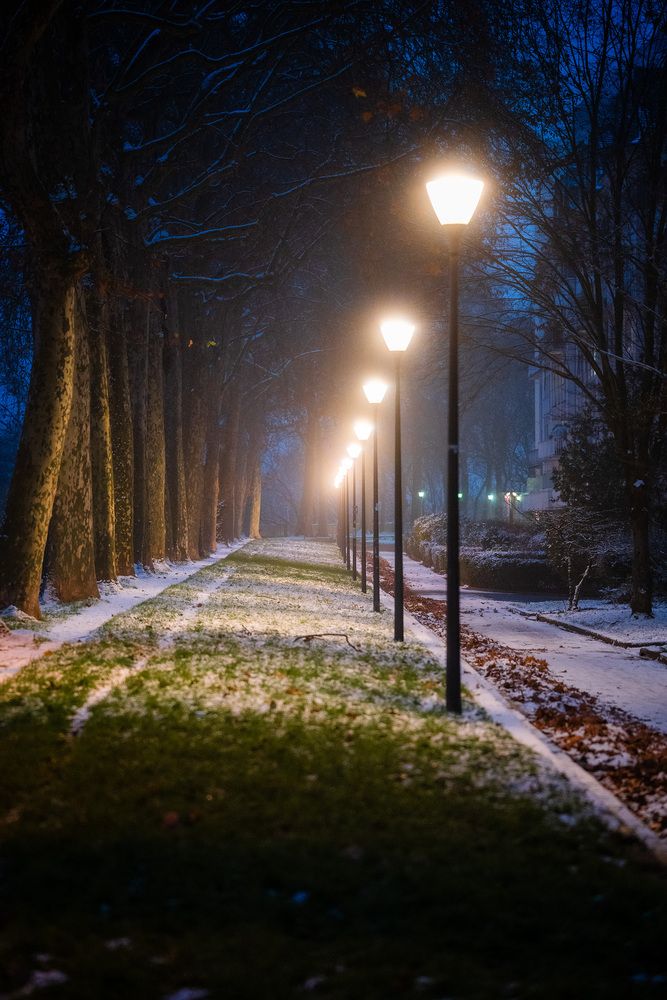 Photograph by Maxime Mienne