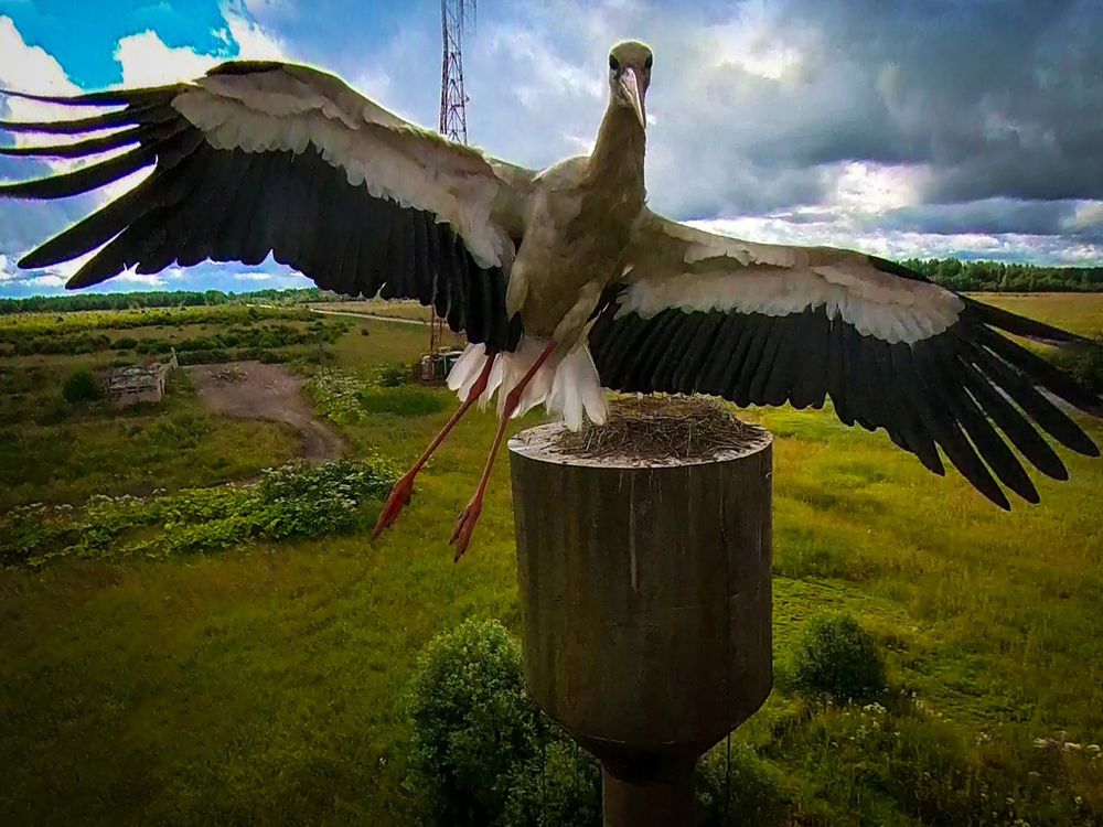 Photograph by Andrey Purtov