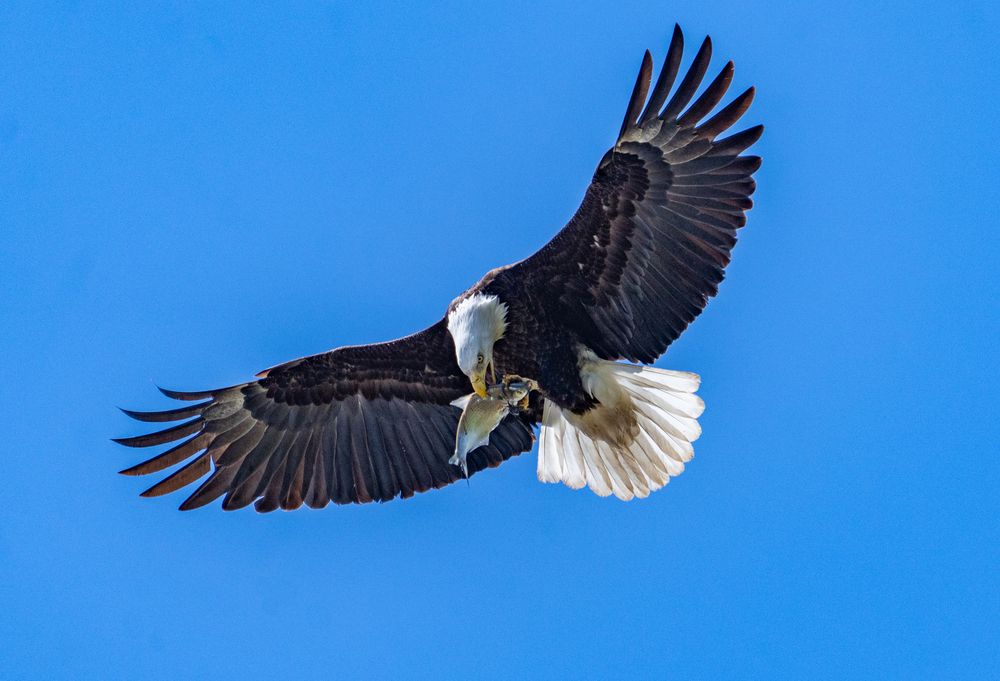 Photograph by Nitin Baste