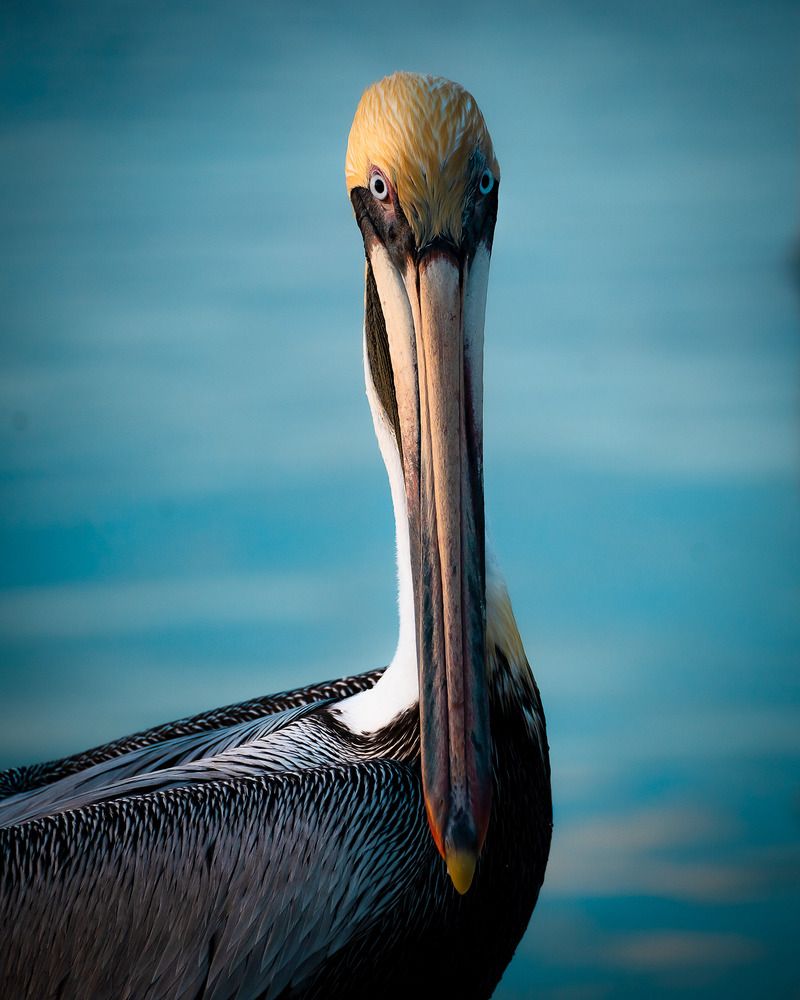 Photograph by Maxime Mienne