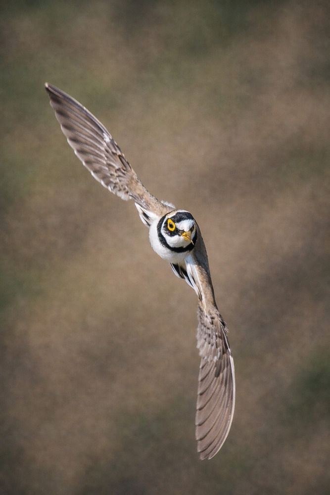 Photograph by Akash Rajurkar