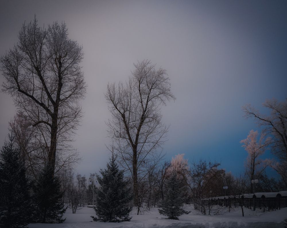 Photograph by Юрий Жданов