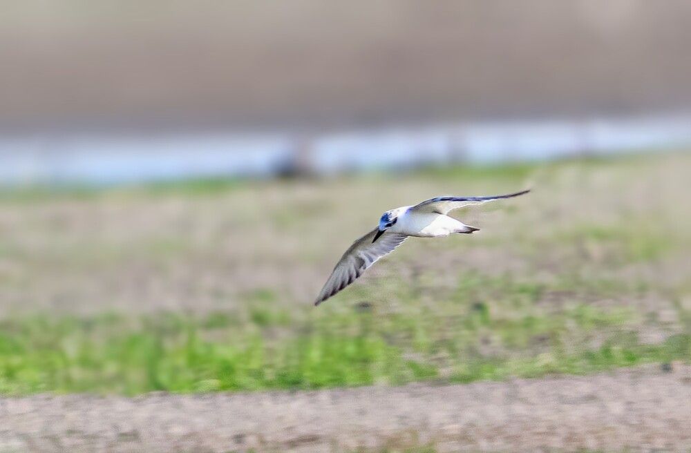 Photograph by Akash Rajurkar