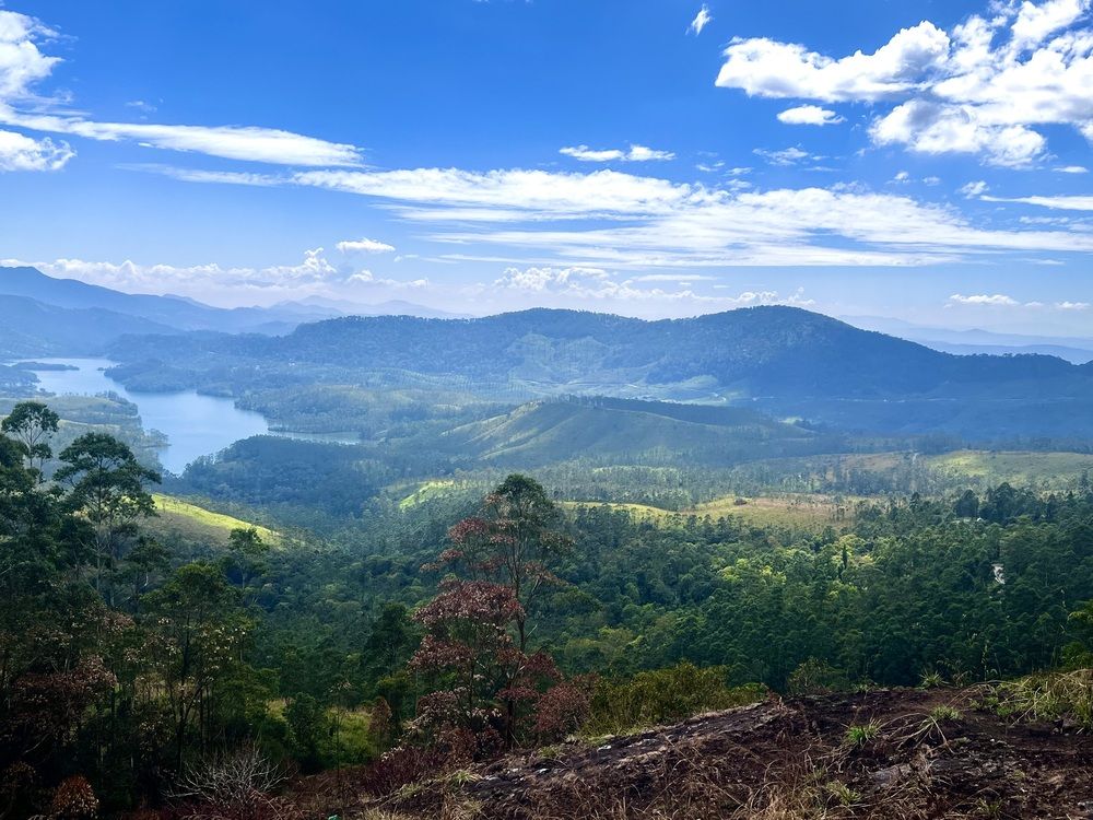 Photograph by Sunitha David