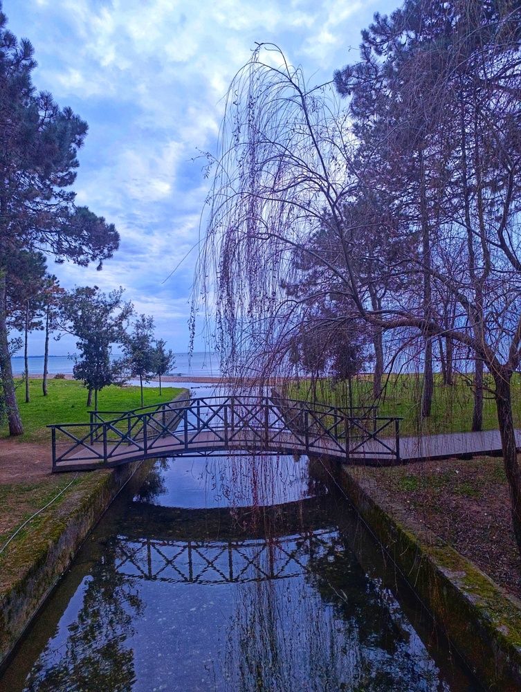 Photograph by Вера Морозова