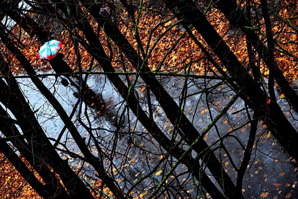 Photograph by Вадим Гераскин