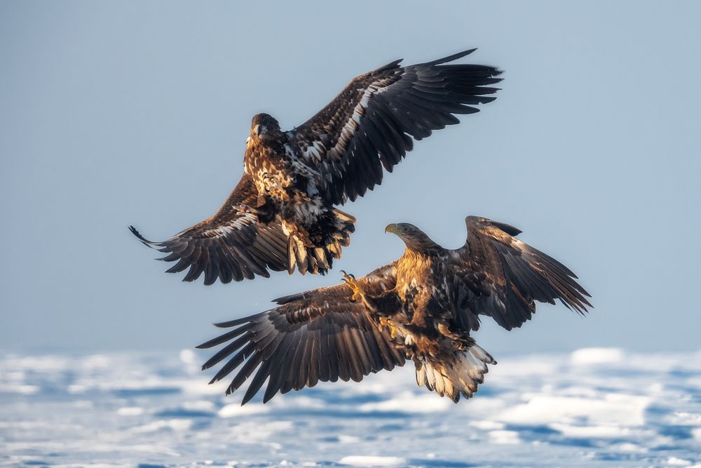 Photograph by Lozhkin Vyacheslav