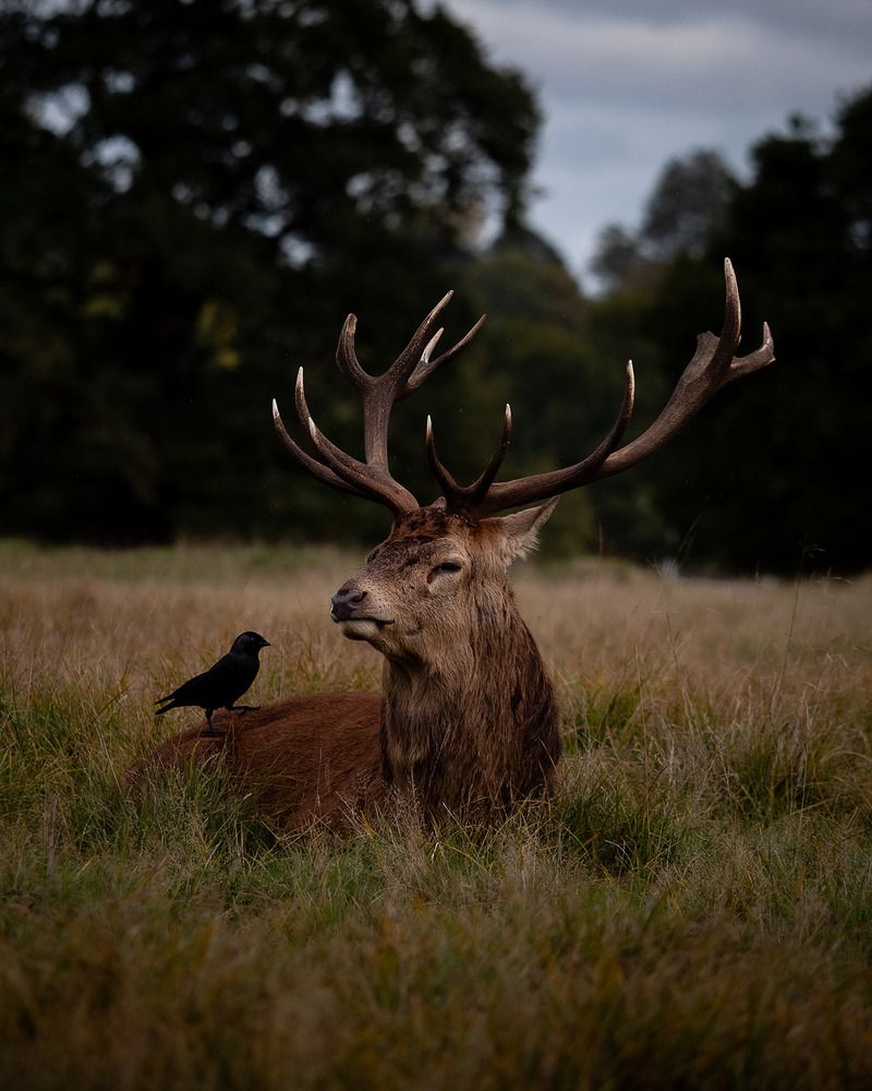 Photograph by Maxime Mienne