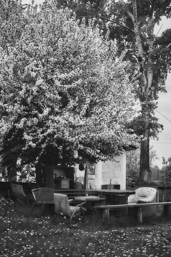 Фотография автора Ласьков Евгений