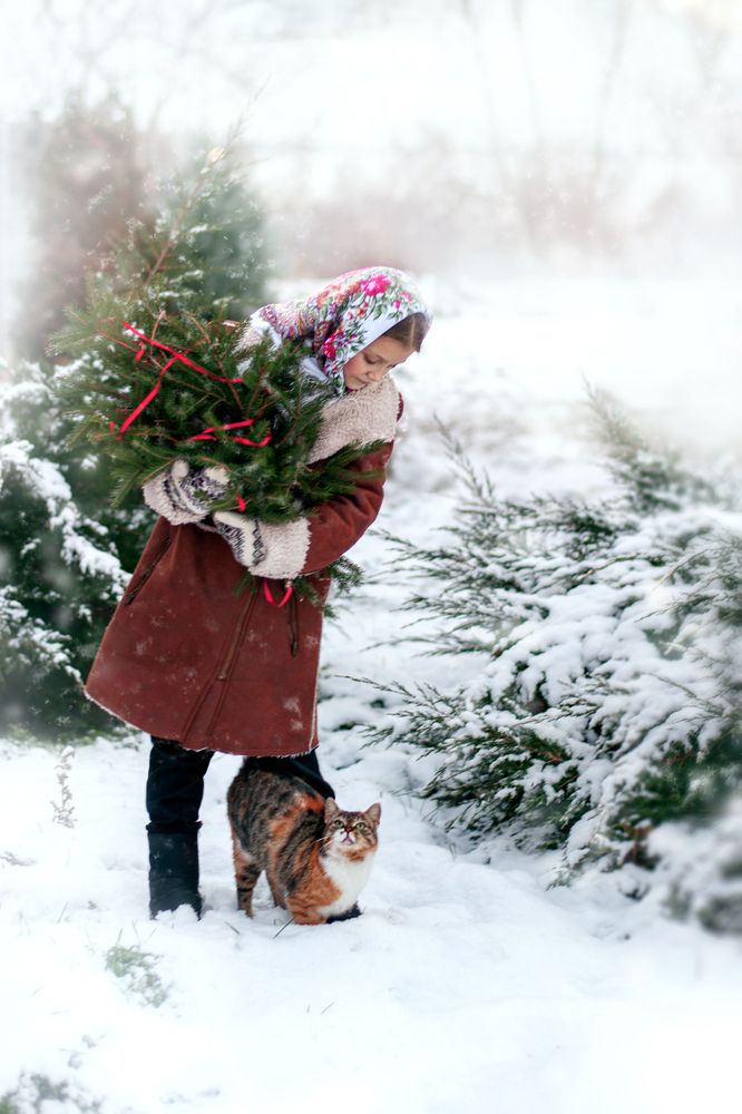 Photograph by Семисенко Яна