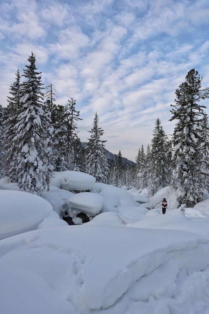 Фотография автора Кощеева Марина