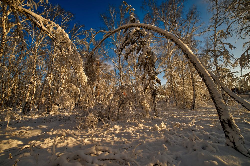 Фотография автора Игорь Игоревич