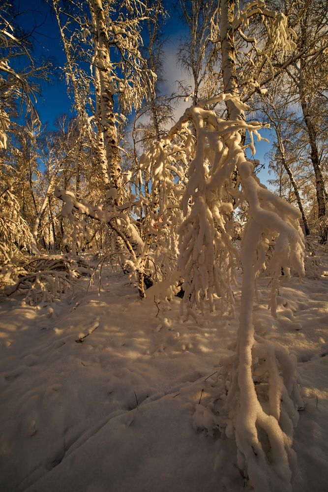 Фотография автора Игорь Игоревич