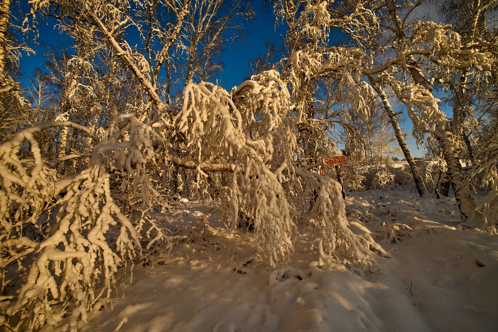 Фотография автора Игорь Игоревич
