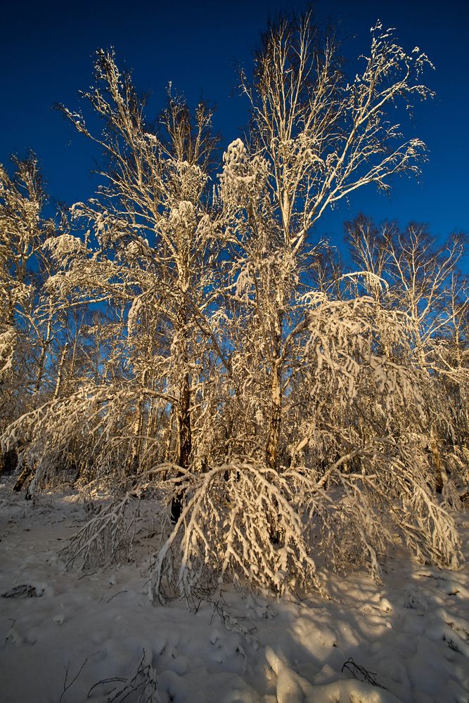 Фотография автора Игорь Игоревич